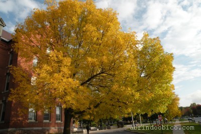 univvermont