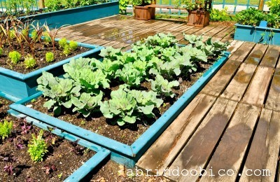 Verduras