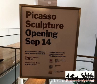 Picasso1
