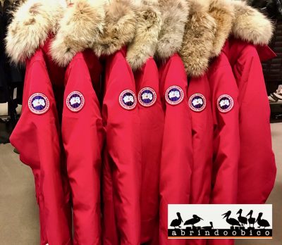 canadagoose2